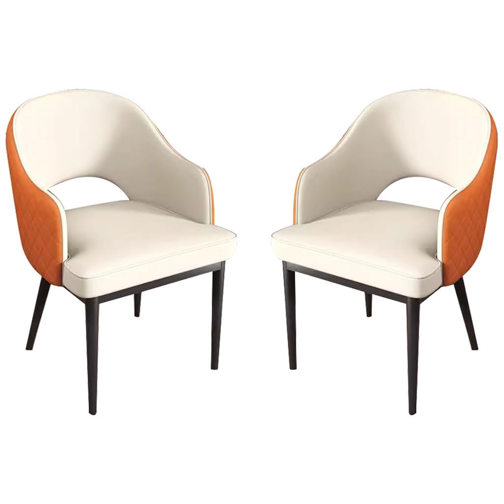 Amana's Modern Dining Chairs