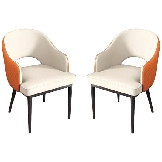 Amana's Modern Dining Chairs