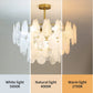 Gold Adjustable Chandelier Light