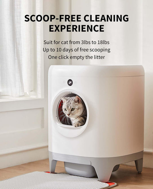 PETKIT Self-Cleaning Cat Litter Box