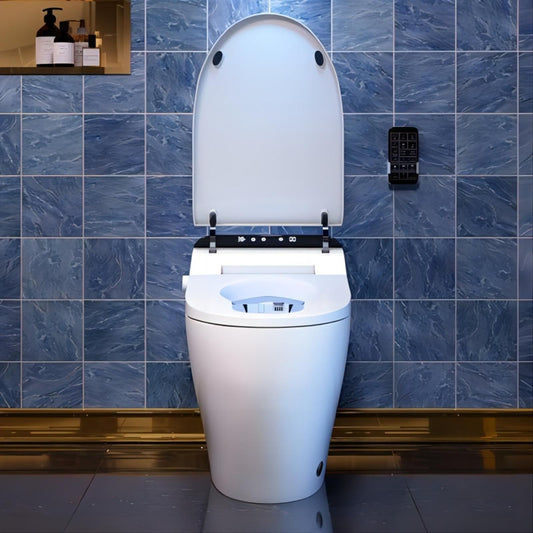 Homary Smart Toilet