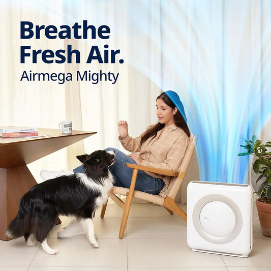 COWAY Air Purifier